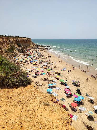 brasileñas desnudas|Descubre las Playas Nudistas más Fascinantes de Brasil en 2024